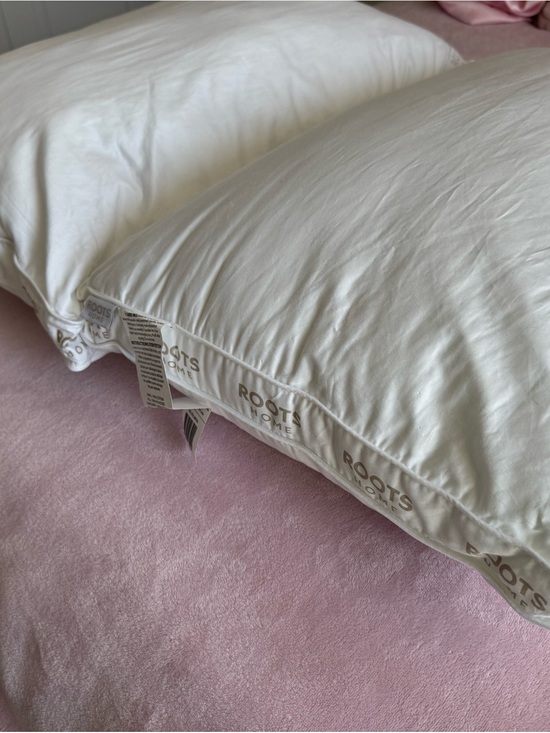 Roots Home Other - Roots Home Queen/Standard 2 plush down pillows, BRAND NEW